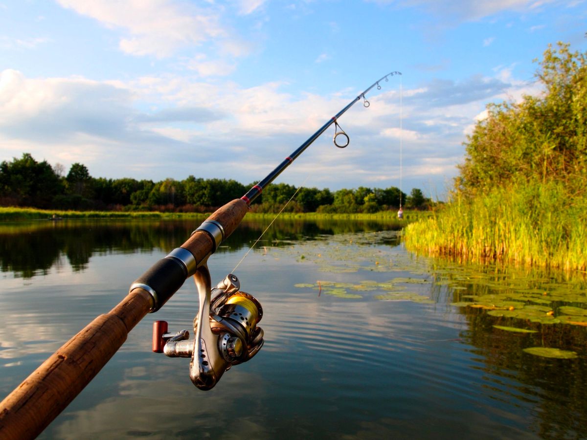 A fishing rod with a lake in the background